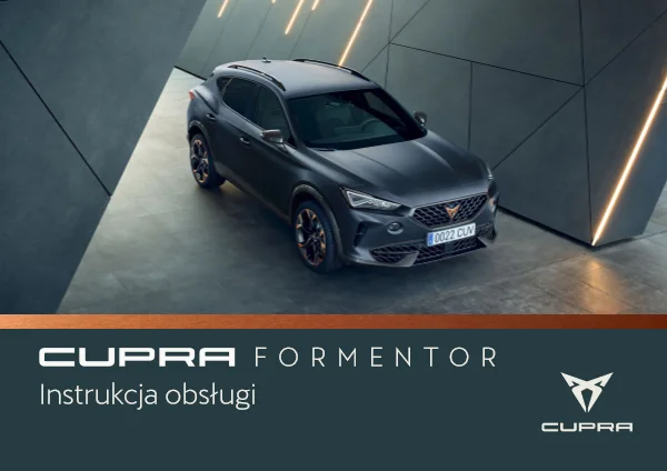 Instrukcja obsługi Cupra Formentor — wydanie 07.2020